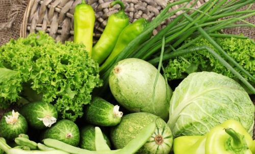 自制纯天然 绿色蔬菜 ,6天就能吃,居然如此简单 快学起来