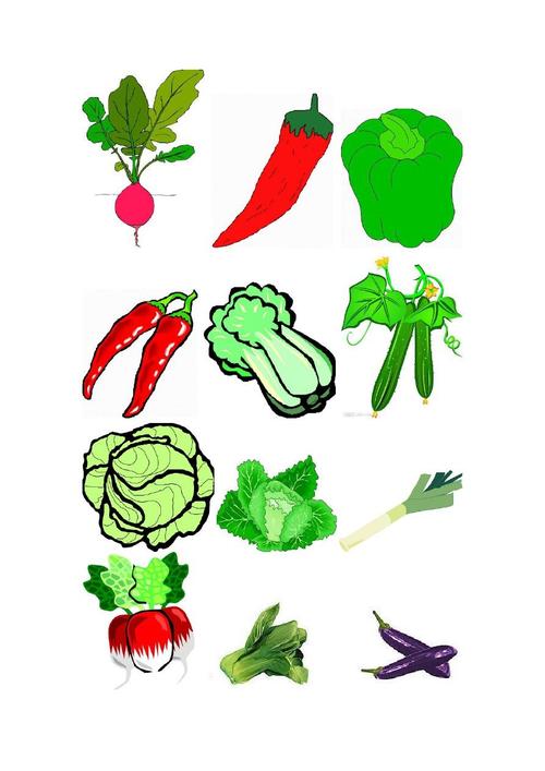 蔬菜卡通图片