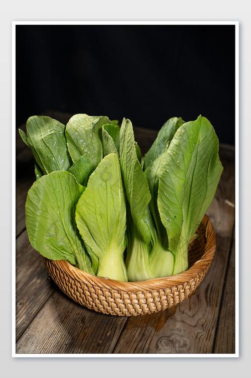 绿色小白菜青菜叶子蔬菜图片图片