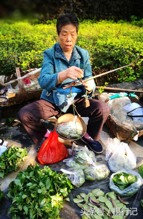 市场上的各种农副产品,您吃过 有些都是野生蔬菜,有入药的功效